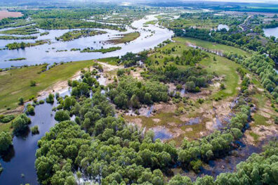 Wetlands are of strategic importance not only for sustainability and nature conservation but also for the military and population’s safety