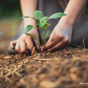 Нова ініціатива ЄС з вуглецевого сільського господарства (carbon farming)