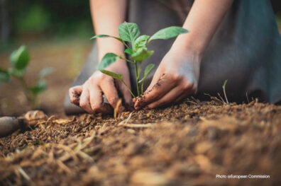 Нова ініціатива ЄС з вуглецевого сільського господарства (carbon farming)