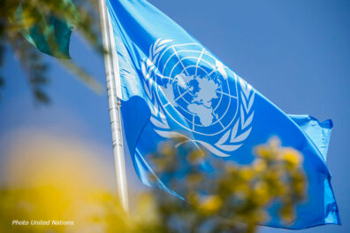 UN: the power and powerlessness of procedures in the context of environmental protection