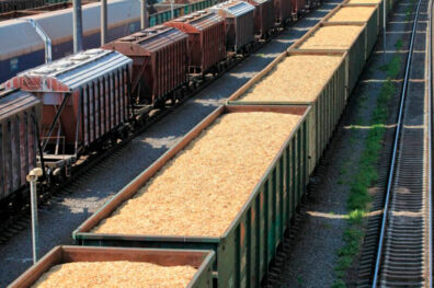 Допомога Україні у відновленні експорту сільськогосподарської продукції: Європейська Комісія представила новий план заходів