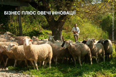 Бізнес плюс овечі інновації