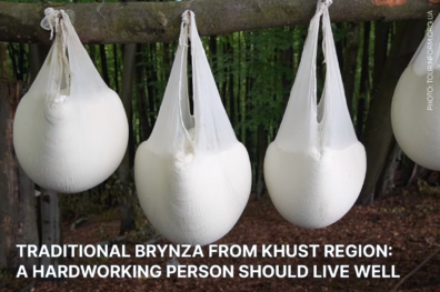 Traditional Brynza from Khust region: a hardworking person should live well