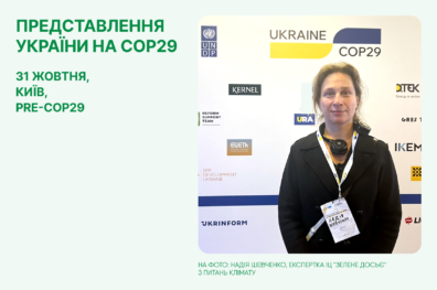 Представлення України на СОР29