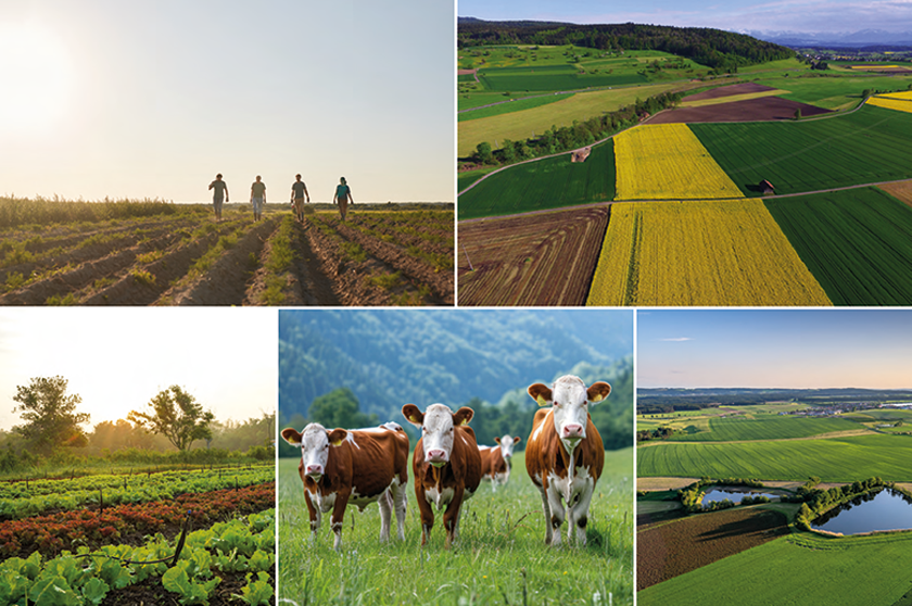Нова візія розвитку та підтримки агросектора в ЄС – серія публікацій