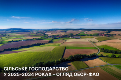 Сільське господарство у 2025-2034 роках – огляд ОЕСР-ФАО