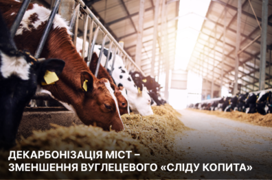 Декарбонізація міст – зменшення вуглецевого «сліду копита»