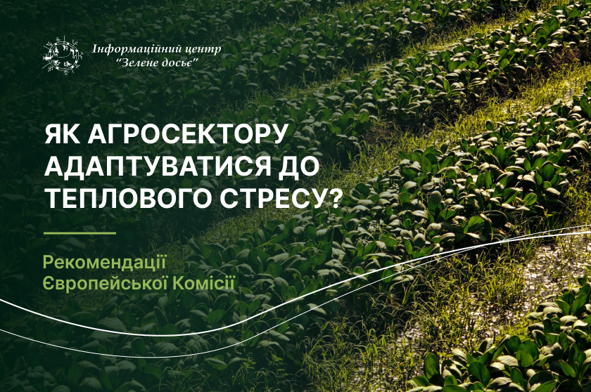 Як агросектор може впоратися з тепловим стресом — рекомендації Європейської Комісії